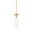 Mitzi Haisley 1 Light Pendant