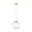 Mitzi Sara 1 Light Pendant, Aged Brass/Clear