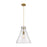 Innovations Newton Cone 1-Lt 14" Cord Pendant, BB/SG - 410-1PL-BB-G411-14SDY