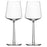 OPEN BOX ITEM: Iittala Essence Red Wine (Set of 2) 15 oz, Clear - 1008568