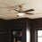 Kichler Vinea 52" Vinea Fan