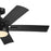 Kichler Tide 52" Tide Weather Fan