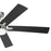 Kichler Lucian Elite Xl Ceiling Fan, Etched Cased Opal