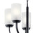 Kichler Kennewick 5 Light Chandelier, Black/Frosted