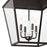 Kichler Dame 4 Light Foyer Pendant