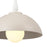 Kichler Fira 1 Light Pendant