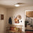 Kichler Bretta Flush Mount