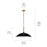 Kichler Delarosa 20" 1 Light Pendant, Black/Champagne Bronze