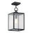 Kichler Lahden 17" 1 Lt Outdoor Pendant/Semi Flush, Black/Clear Seed