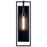 Kichler Goson 24" 1 Light Wall Light, Black/Clear