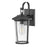 Lark Banks 1 Light Outdoor Small Wall Mount, Black/Clear Seedy - 82020BK