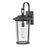 Lark Banks 1 Light Outdoor Large Wall Mount, Black/Clear Seedy - 82025BK