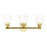 Livex Catania 3 Light Vanity Sconce, Brass/Hand Blown Clear - 16783-02