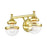 Livex Oldwick 2 Light Bath Vanity, Polished Brass/Hand Blown Clear