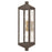 Livex Lighting Nyack 2 Light Outdoor Wall Lantern