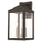 Livex Lighting Nyack 3 Light 17" Outdoor Wall Lantern