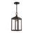 Livex Nyack 1-LT Outdoor Pendant Lantern, Bronze/Brass Cluser/Clear - 20591-07