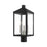 Livex Nyack 3 Light Post Top Lantern, Black/Nickel Cluster/Clear - 20592-04