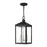 Livex Nyack 3-LT Outdoor Pendant Lantern, Black/Nickel Cluster/Clear - 20593-04