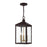 Livex Nyack 3-LT Outdoor Pendant Lantern, Bronze/Brass Cluser/Clear - 20593-07