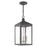 Livex Lighting Nyack Outdoor Pendant Lantern