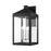 Livex Nyack 5 Light Outdoor Wall Lantern, Black/Nickel Cluster/Clear - 20598-04