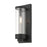 Livex Hillcrest 1 Light Outdoor Wall Lantern, Textured Black/Clear