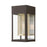 Livex Franklin 1 Light Outdoor 12' Wall Lantern, BZ/Gold/NK - 20761-07