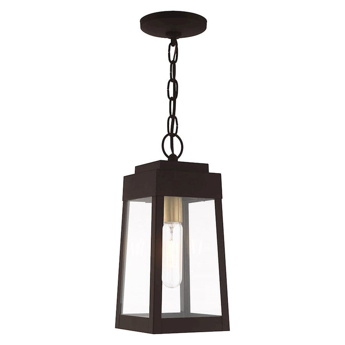 Livex Lighting Oslo 1 Light Outdoor Pendant Lantern