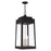 Livex Lighting Oslo 4 Light Outdoor Pendant Lantern, Black