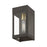 Livex Barrett 1 Light Outdoor 9.75" Wall Lantern