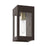 Livex Barrett 1 Light Outdoor 9.75" Wall Lantern