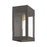 Livex Barrett 1 Light Outdoor Wall Lantern, Bronze/Brass/Clear