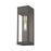 Livex Barrett 1 Light Outdoor Wall Lantern, Bronze/Brass/Clear