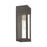 Livex Barrett 1 Light Outdoor Wall Lantern, Bronze/Brass/Clear