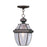 Livex Lighting Monterey 12" Outdoor Chain Hang