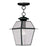 Livex Lighting Westover 11" Outdoor Chain Hang