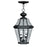 Livex Lighting Georgetown Outdoor Chain Hang