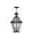 Livex Lighting Georgetown Outdoor Chain Hang