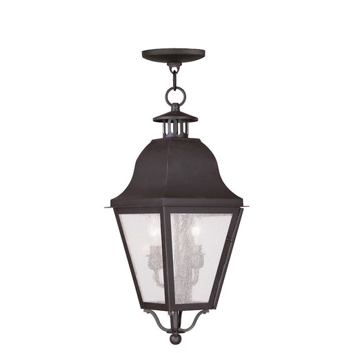 Livex Amwell 2 Light Outdoor Pendant Lantern , Bronze/Seeded Glass - 2546-07