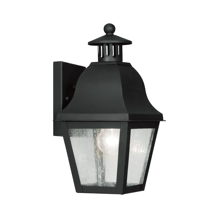 Livex Lighting Amwell Outdoor Wall Lantern, Black