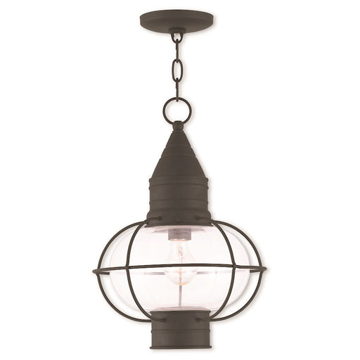 Livex Newburyport 1 Light Outdoor Pendant Lantern, Black/Clear - 26906-04