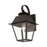 Livex Wentworth Outdoor Wall Lantern