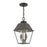 Livex Wentworth Outdoor Pendant Lantern