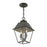 Livex Wentworth Outdoor Pendant Lantern