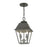 Livex Wentworth Outdoor Pendant Lantern