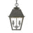 Livex Wentworth Outdoor Pendant Lantern