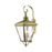 Livex Adams 4 Lt Outdoor XL Wall Lantern, Brass/Nickel/Cluster/Clear - 27374-01