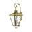 Livex Adams Outdoor Wall Lantern