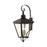 Livex Adams 4 Lt Outdoor XL Wall Lantern, Bronze/Brass/Cluster/Clear - 27374-07